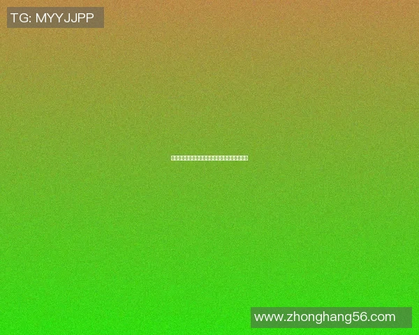 篮球明星们的春节庆祝活动与传统文化的完美融合